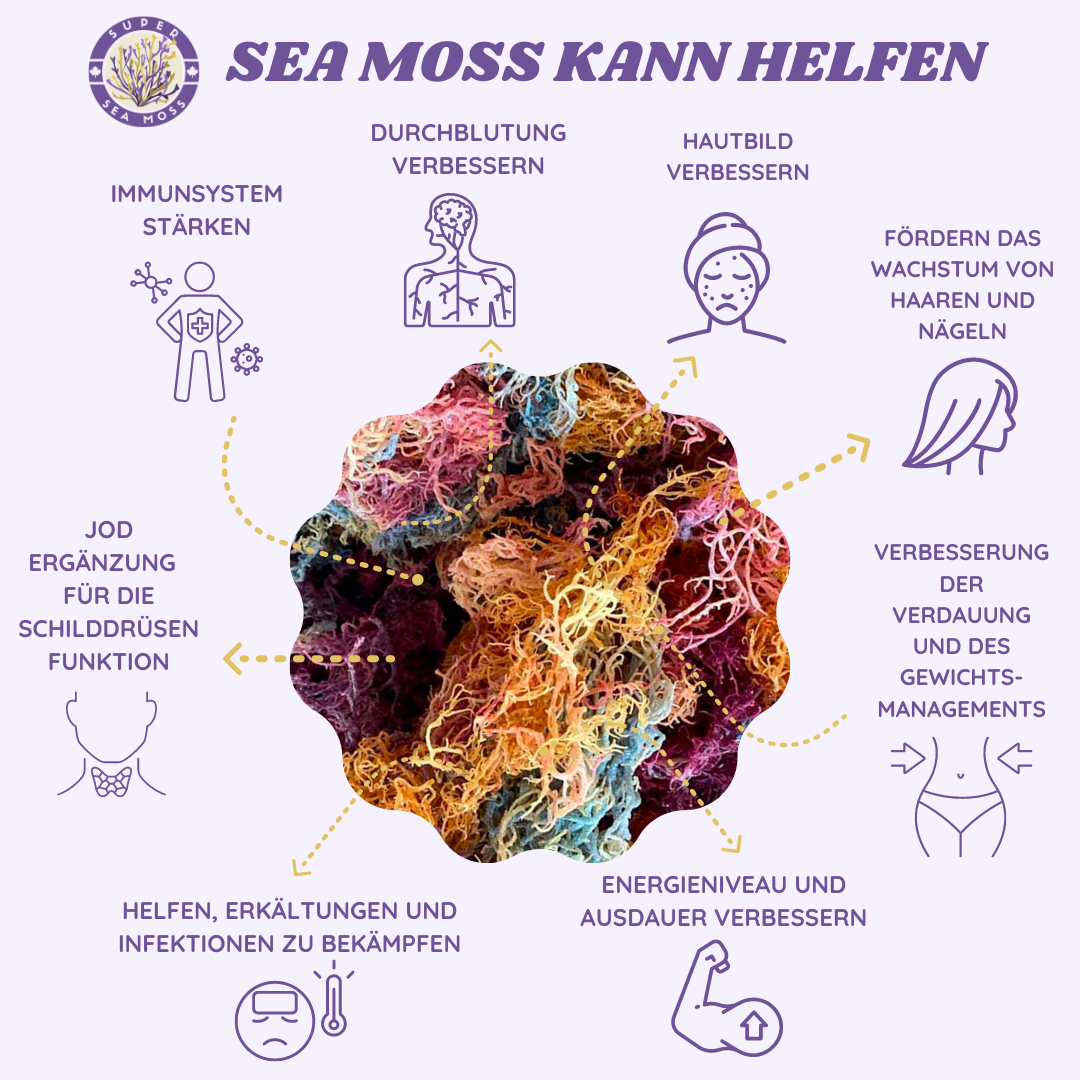 Getrocknetes Rainbow Sea Moss - Super Sea Moss