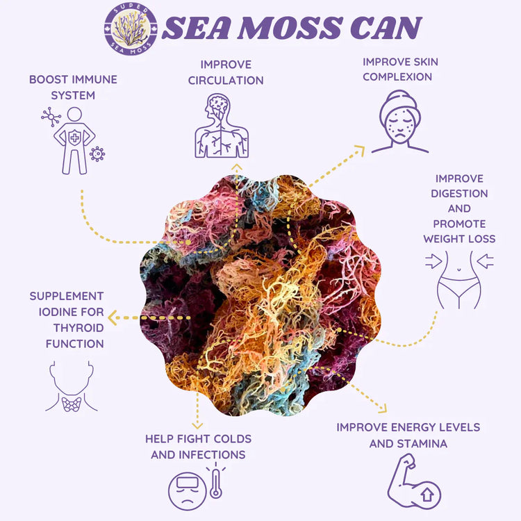 Getrocknetes Violett Sea Moss - Super Sea Moss